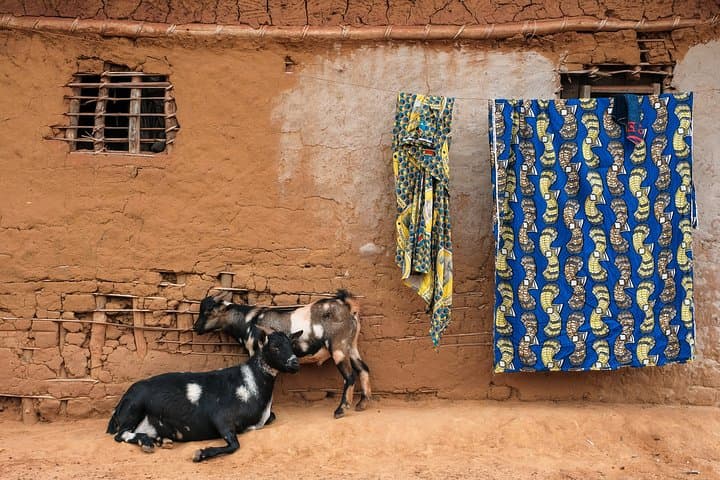 Kisangani Walking Tour: Best Sights, Stories & Practical Tips photo 3