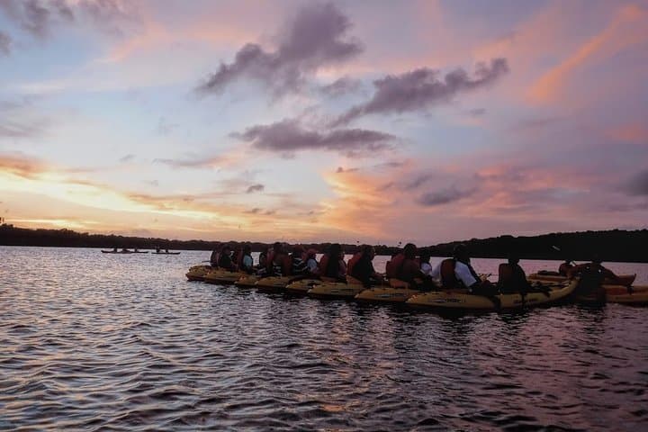 Fajardo Bio Bay Kayak Tour: Night Paddle Through Laguna Grande's Glowing Waters photo 5