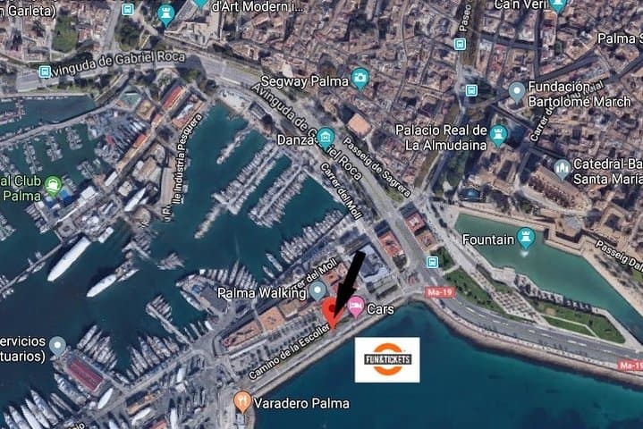 Hams Caves & Majorica Pearls: Half-Day Tour from Palma photo 3