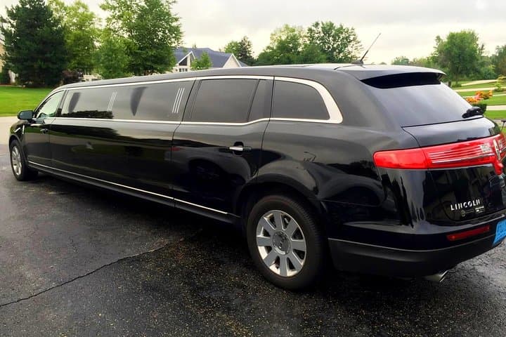Chicago in a Stretch Limo: 2-Hour Private Downtown Sightseeing photo 2