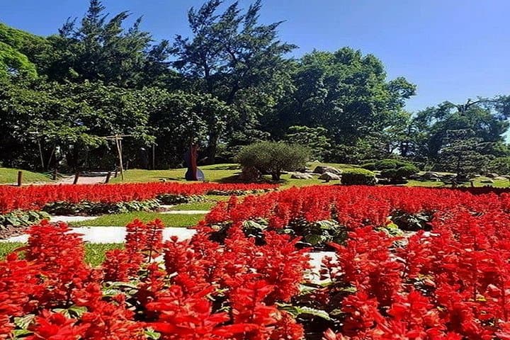 Explore Palermo's Green Heart: Private Tour of the Japanese & Botanical Gardens, Buenos Aires photo 4