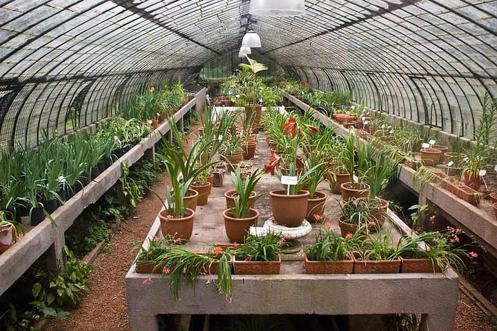 Explore Palermo's Green Heart: Private Tour of the Japanese & Botanical Gardens, Buenos Aires photo 6