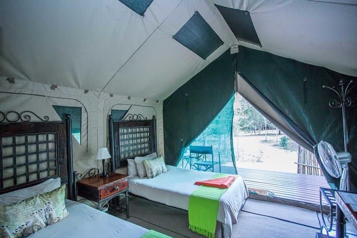 Sabi Sands Express Safari: 5-Day Big Five Wildlife Experience photo 2