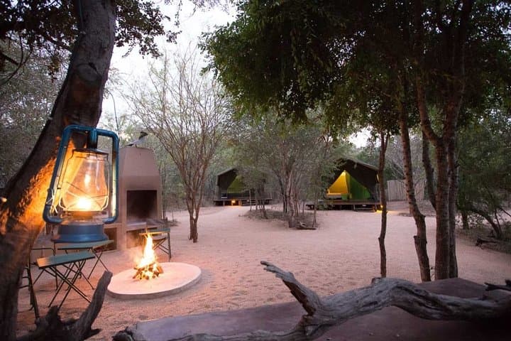 Sabi Sands Express Safari: 5-Day Big Five Wildlife Experience photo 4