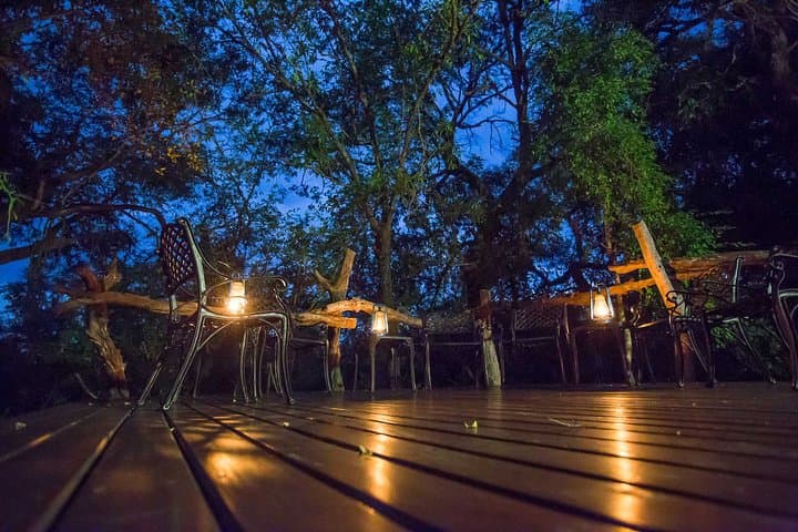 Sabi Sands Express Safari: 5-Day Big Five Wildlife Experience photo 5