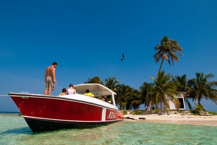 Snorkel Silk Caye: Swim with Turtles, Rays & Nurse Sharks near Placencia