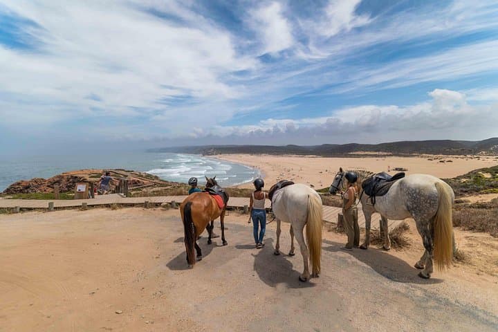 Ride the Wild Algarve Coast: Carrapateira Horseback Tour on Cliffs and Dunes