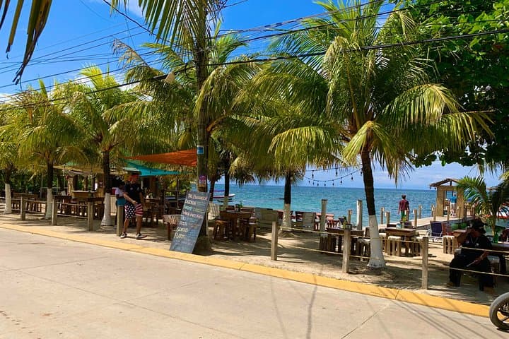 Roatán VIP Shore Excursion: Hop-On Hop-Off Island Tour & West Bay Beach photo 3