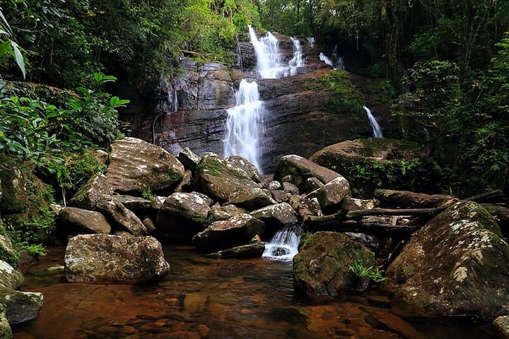 Sinharaja Rainforest Birdwatching from Colombo — Full-Day Guided Walk photo 4