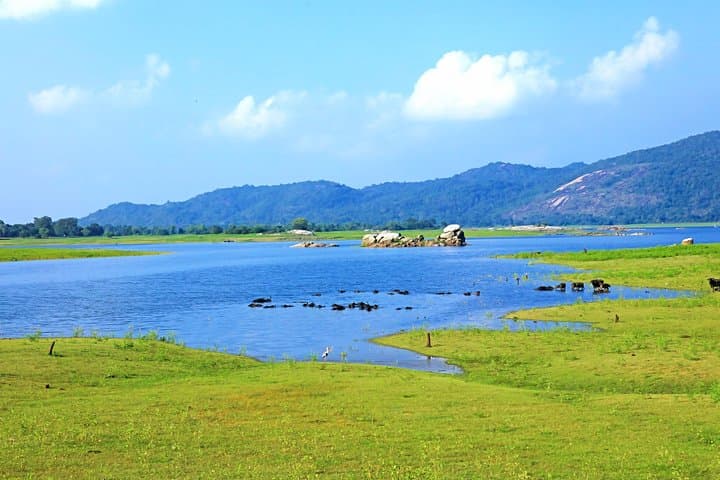 Maduru Oya National Park Private Safari: 3-Hour Elephant & Bird-Watching Jeep Tour photo 2