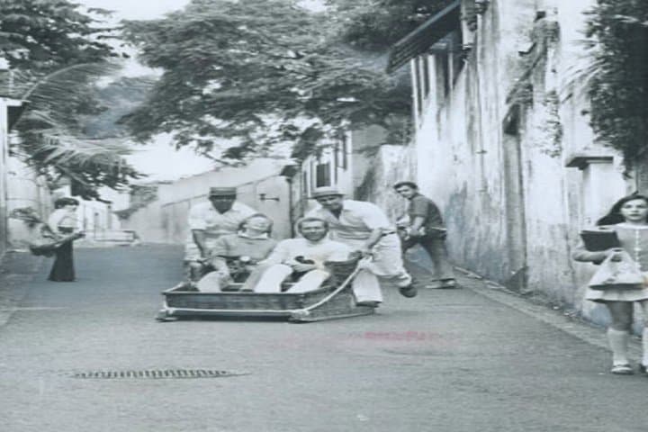 Private Funchal Shore Excursion: Madeira Wine Tasting, Monte Toboggan & Eira do Serrado photo 3