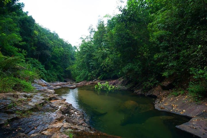 Birdwatching Trek to Kitulgala Rainforest: Day Trip from Colombo