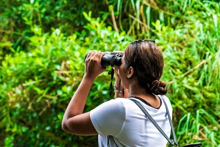 Birdwatching Trek to Kitulgala Rainforest: Day Trip from Colombo photo 6