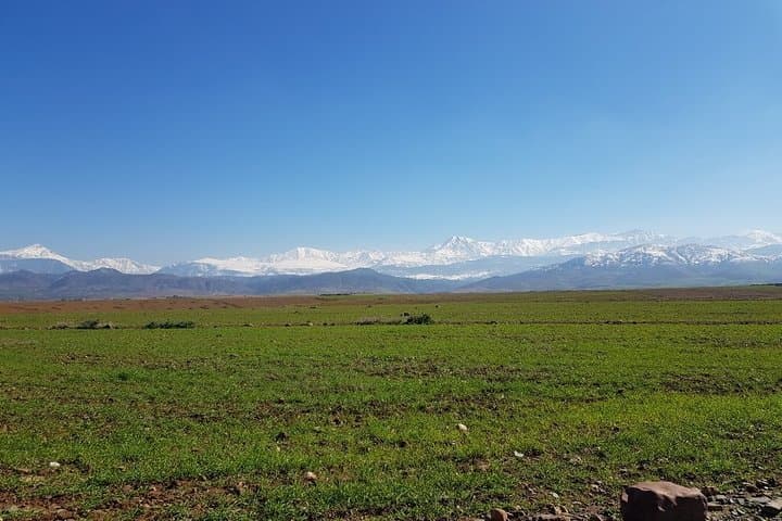 Atlas Mountains Day Tour: Three Valleys & Berber Villages from Marrakech photo 5
