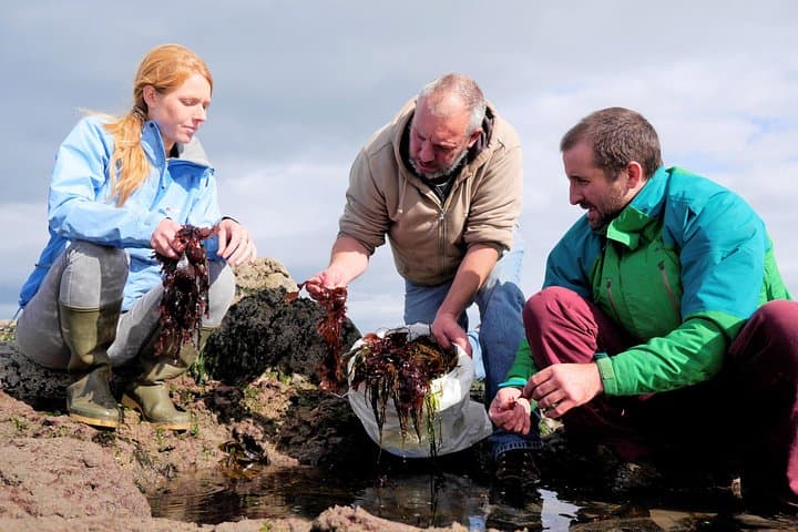 Inishmore Food, Heritage & Cultural Tour — Dún Aonghasa, Goat Cheese & Seals photo 3