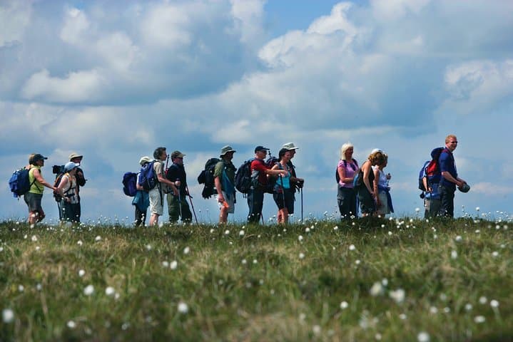 Pilgrim's Walk on St Patrick's Way: Half-Day Guided Walk & Lunch in Downpatrick photo 2