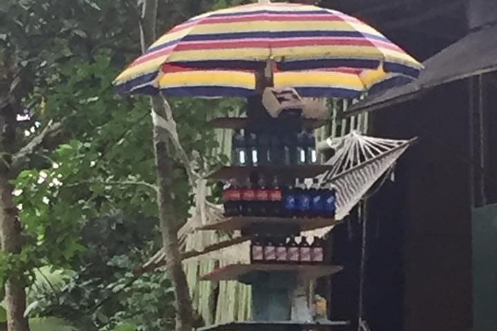 Martha Brae Bamboo Rafting from Montego Bay: Private Half-Day River Trip photo 5