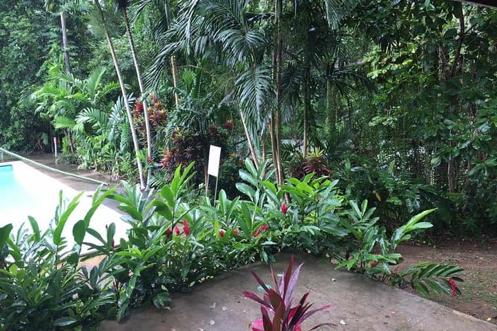 Martha Brae Bamboo Rafting from Montego Bay: Private Half-Day River Trip photo 6
