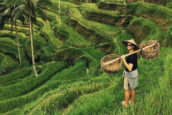 Ubud Day Tour: Tegalalang Rice Terraces, Tirta Empul & Tegenungan Waterfall photo 1