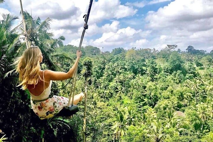 Ubud Day Tour: Tegalalang Rice Terraces, Tirta Empul & Tegenungan Waterfall photo 3
