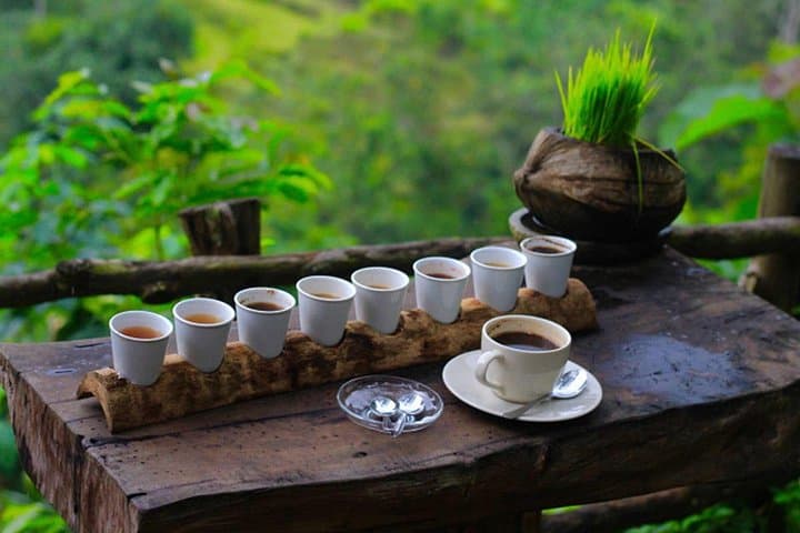 Ubud Day Tour: Tegalalang Rice Terraces, Tirta Empul & Tegenungan Waterfall photo 4