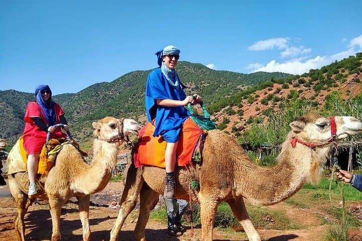 Atlas Mountains & Berber Villages Day Trip from Marrakech — Ourika, Asni & Kik Plateau photo 3