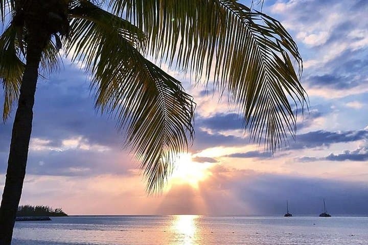 Montego Bay Highlights: Half-Day Cultural and Beach Tour photo 6