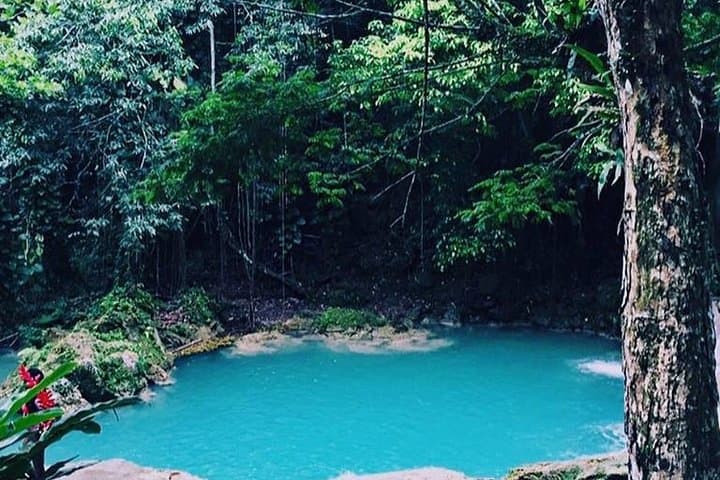 Full-Day Blue Hole & Dunn's River Falls Excursion from Falmouth — Swim, Climb and Explore photo 5