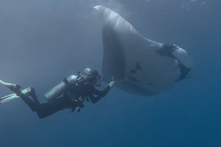 Tamarindo Open Water Diver Course — PADI & TDI-SDI Certification to 60 ft