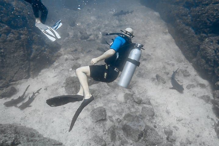 Tamarindo Open Water Diver Course — PADI & TDI-SDI Certification to 60 ft photo 5