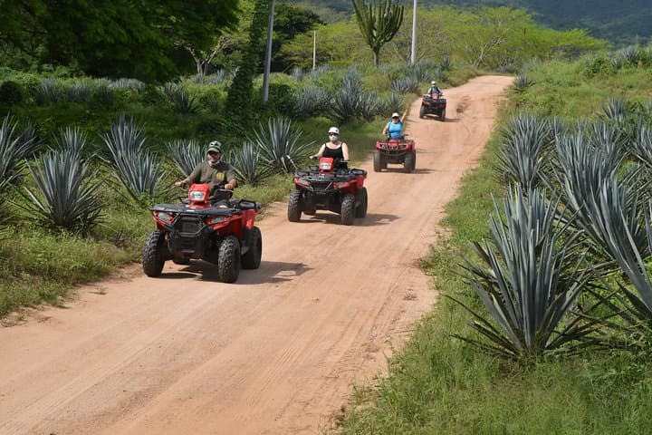 Zipline and ATV Combo at Hacienda Los Osuna: Agave Fields & Distillery Tour photo 4