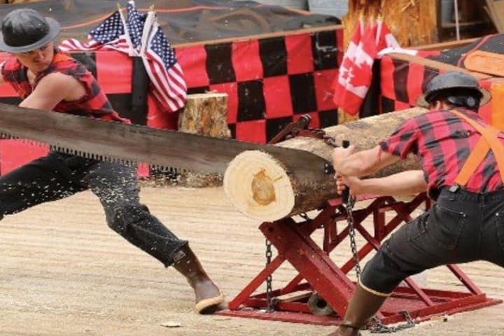 Experience The Great Alaskan Lumberjack Show: Ketchikan’s Premier Shore Excursion