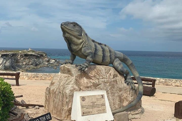 Romantic Private Tour in Isla Mujeres: Couples' Walking Experience to Garrafon and Playa Norte photo 3