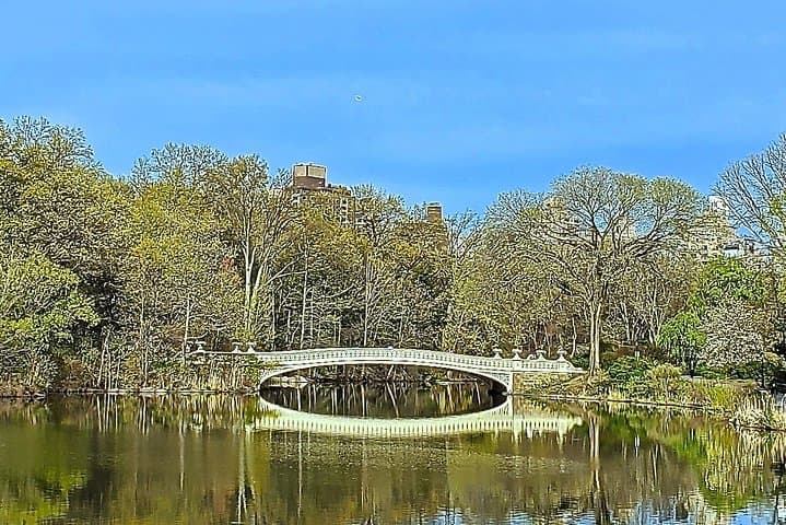 Central Park Private Guided Walking Tour — History, Sights & Local Tips photo 2