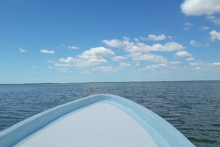 Private Sian Ka'an Biosphere Tour: Dolphins, Mangroves & Snorkeling the Mesoamerican Reef photo 5
