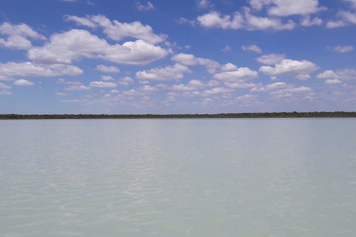 Private Sian Ka'an Biosphere Tour: Dolphins, Mangroves & Snorkeling the Mesoamerican Reef photo 6