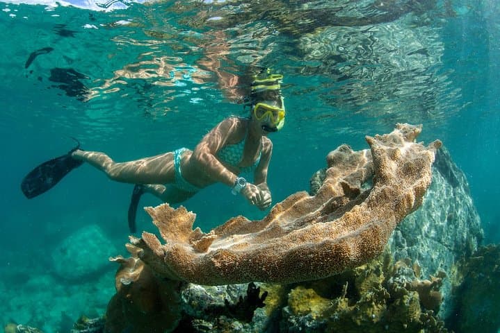 St. John Lime Out Snorkel Sail: Full-Day Catamaran with Floating Taco Bar & Open Bar photo 4