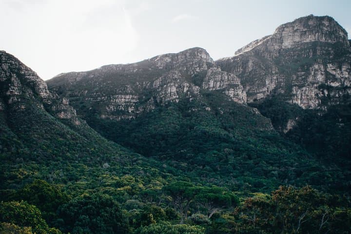 Cape Town Private City Tour: Table Mountain, Kirstenbosch & Groot Constantia photo 6