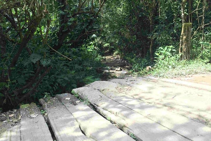 Full-Day Minca Coffee, Cocoa & Waterfalls Tour from Santa Marta photo 3