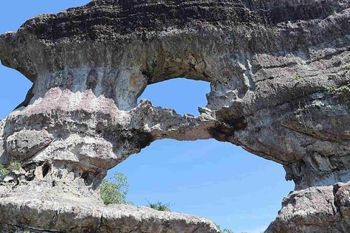 4-Day El Guaviare Rock Paintings and Amazon Jungle Expedition photo 3
