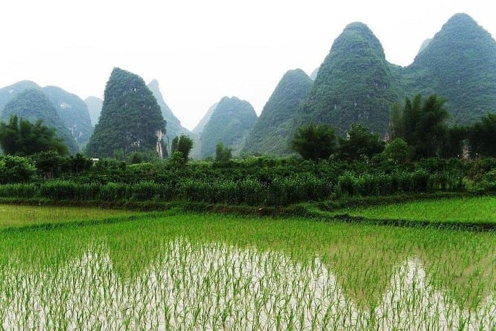 Yangshuo Day Tour from Guilin: Yulong River, Moon Hill & Xingping Li River Cruise photo 4