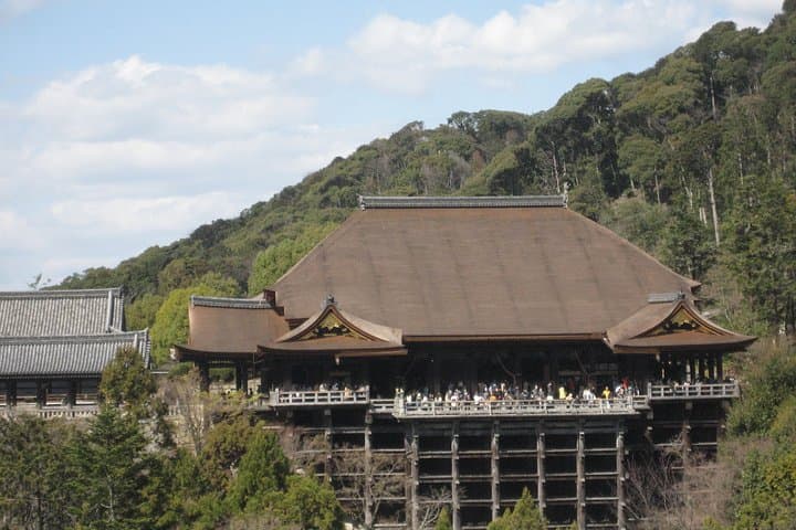 Personalized Half-day Kyoto Tour for Families: Private, Customizable City Walks photo 2