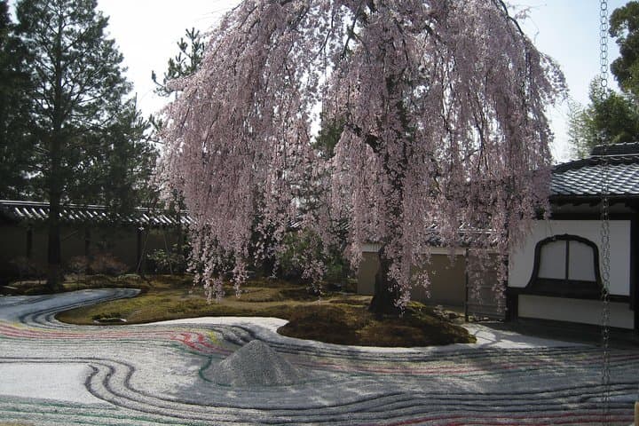 Personalized Half-day Kyoto Tour for Families: Private, Customizable City Walks photo 4