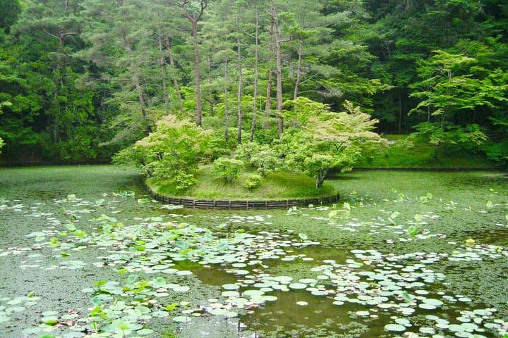 Personalized Half-day Kyoto Tour for Families: Private, Customizable City Walks photo 5