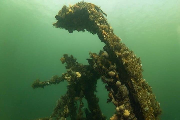 Shipwreck Hunters: MV Captayannis Clyde Wreck Boat Tour photo 3