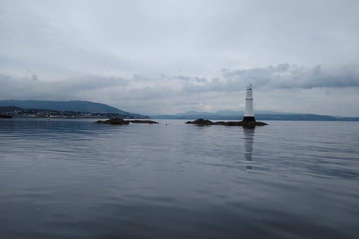 Doon The Watter: Clyde Coast Wildlife & Historic Piers Cruise photo 3