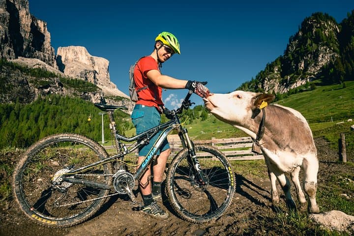Private Mountain Bike & E‑Bike Day with Guide in Cortina d'Ampezzo photo 2