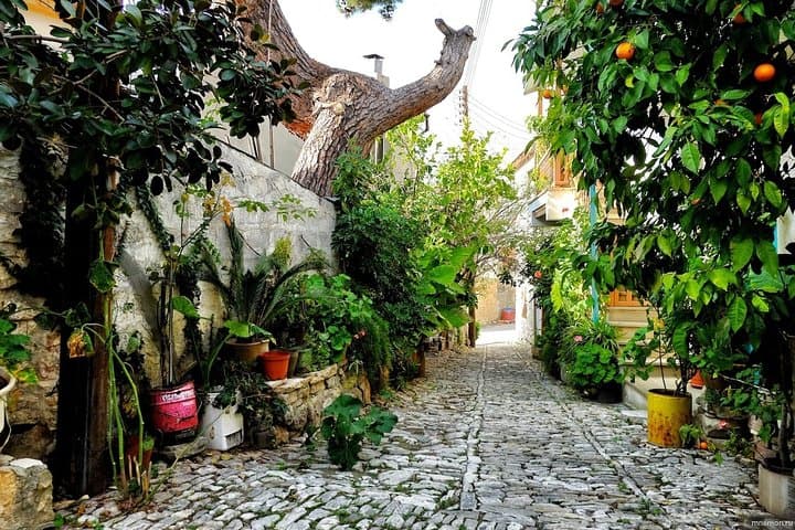 Troodos Gourmet Day Trip: Private Wine, Rose & Loukoumi Tasting from Limassol photo 3