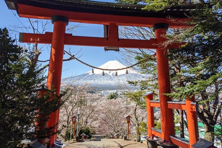 Private Mt. Fuji Day Trip: Lake Kawaguchiko & Hakone Private Car Tour from Tokyo photo 6