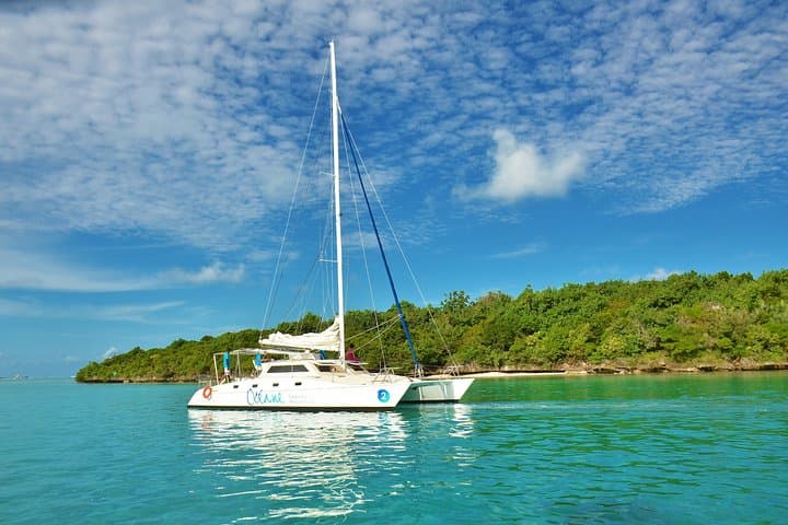 Private Eco Catamaran Tour to Île aux Aigrettes from Mahebourg
